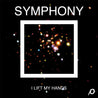 Symphony (Digital Download) - Louie Giglio