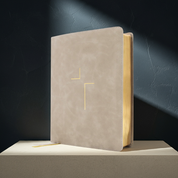 The Jesus Bible - NIV - Stone Leathersoft // Pre-Order