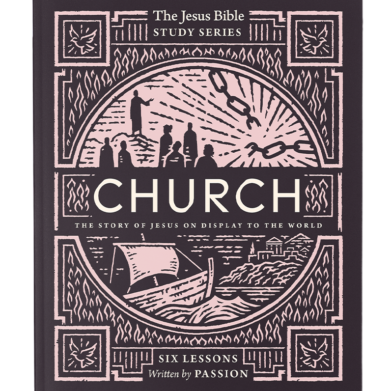 Church Bible Study Guide: The Story of Jesus on Display to the World (Jesus Bible Study Series) - passion resources