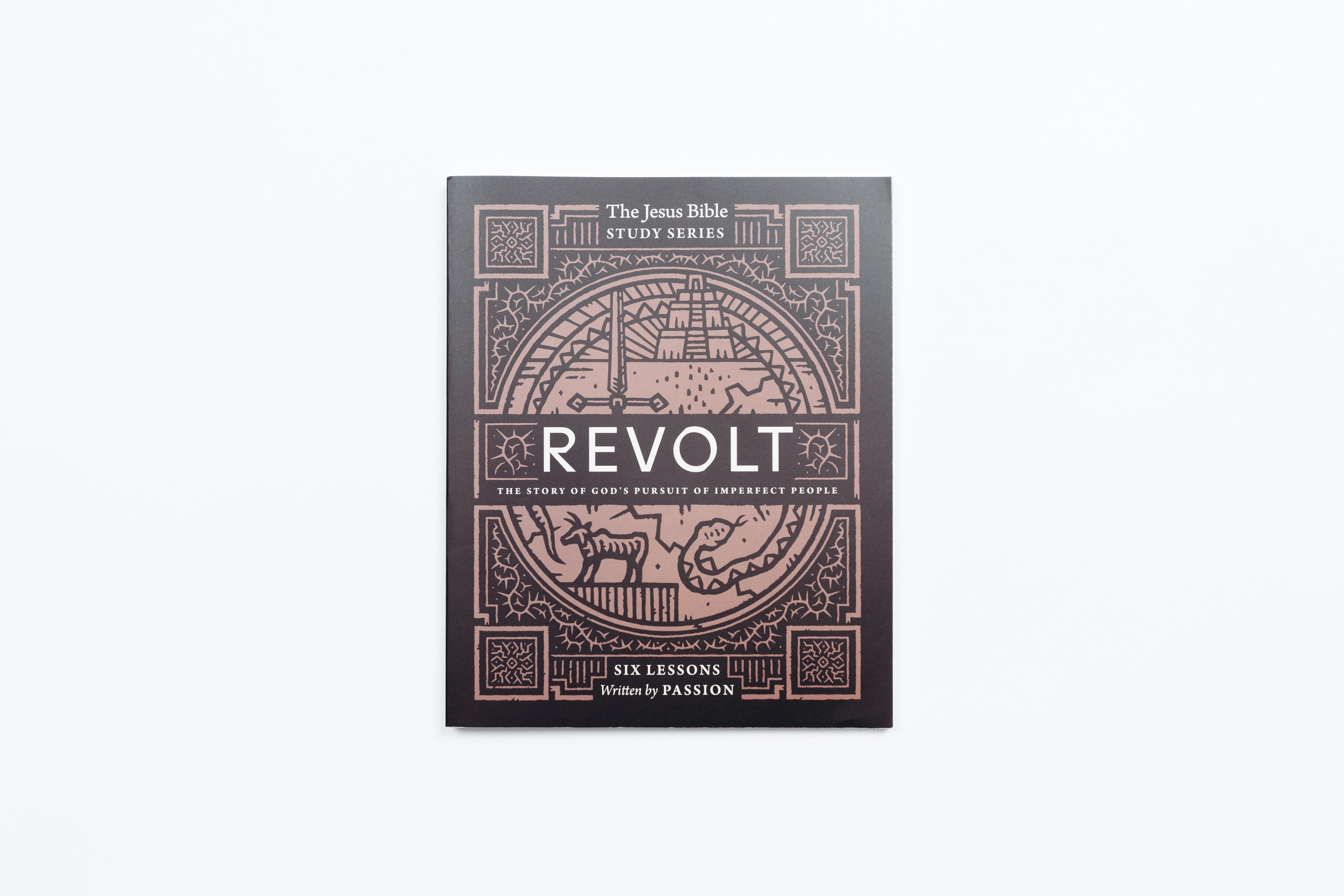 Revolt Bible Study Guide: The Story of God’s Pursuit of Imperfect People (Jesus Bible Study Series)