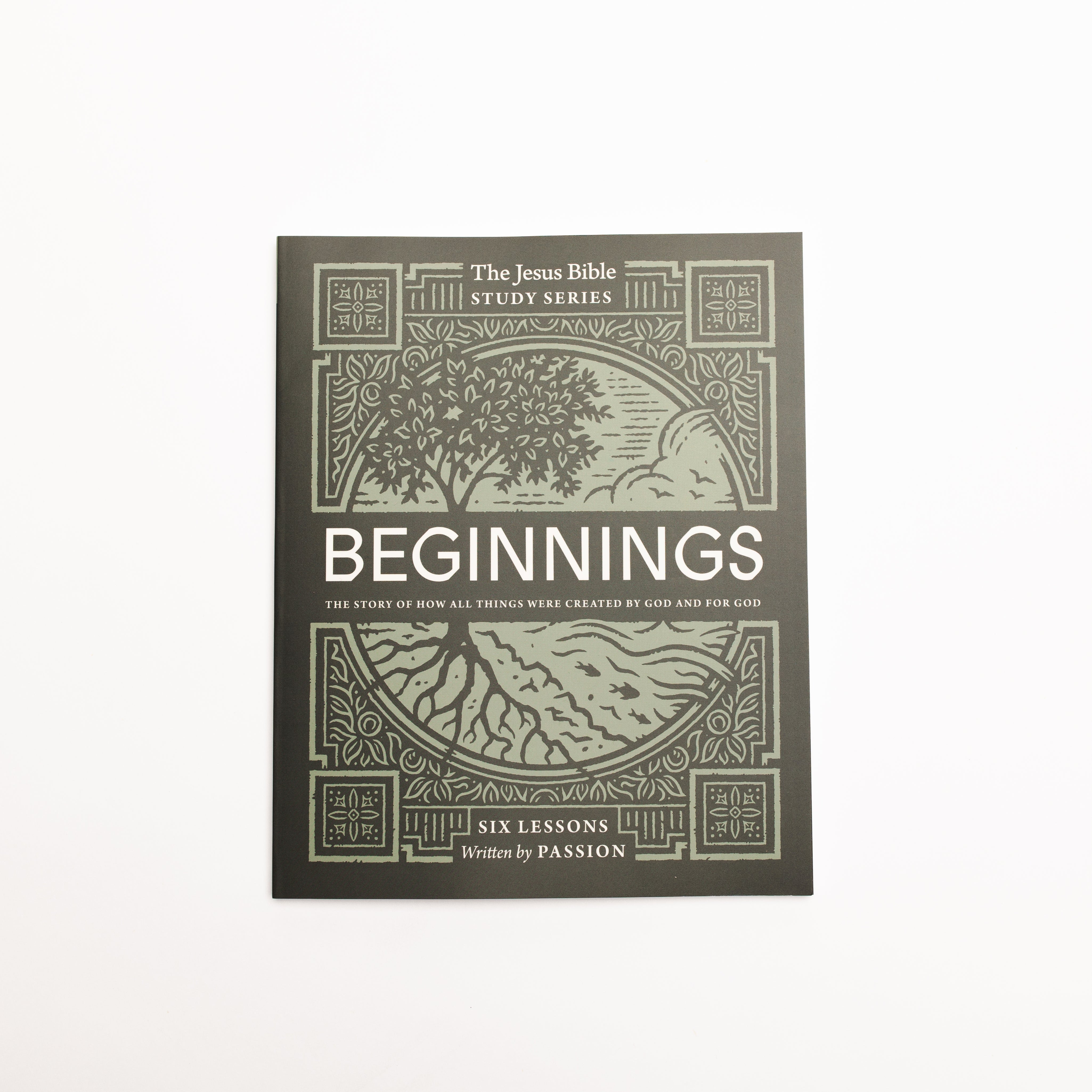 Beginnings Bible Study Guide: The Story of How All Things Were Created by God and for God (Jesus Bible Study Series) - passion resources