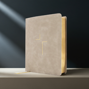 The Jesus Bible - ESV - Stone Leathersoft // Pre-Order