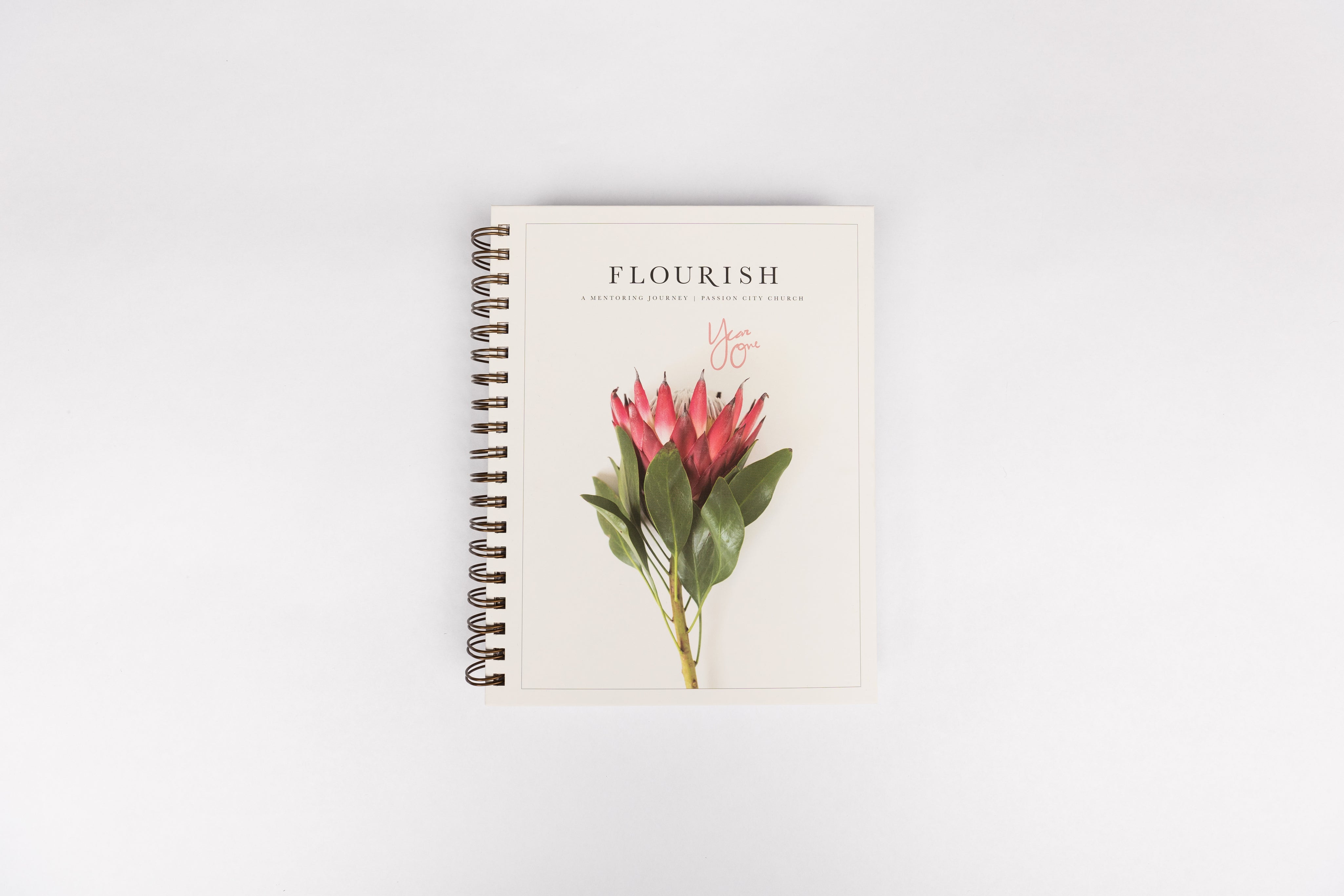 Flourish: A Mentoring Journey - Year One - passion resources