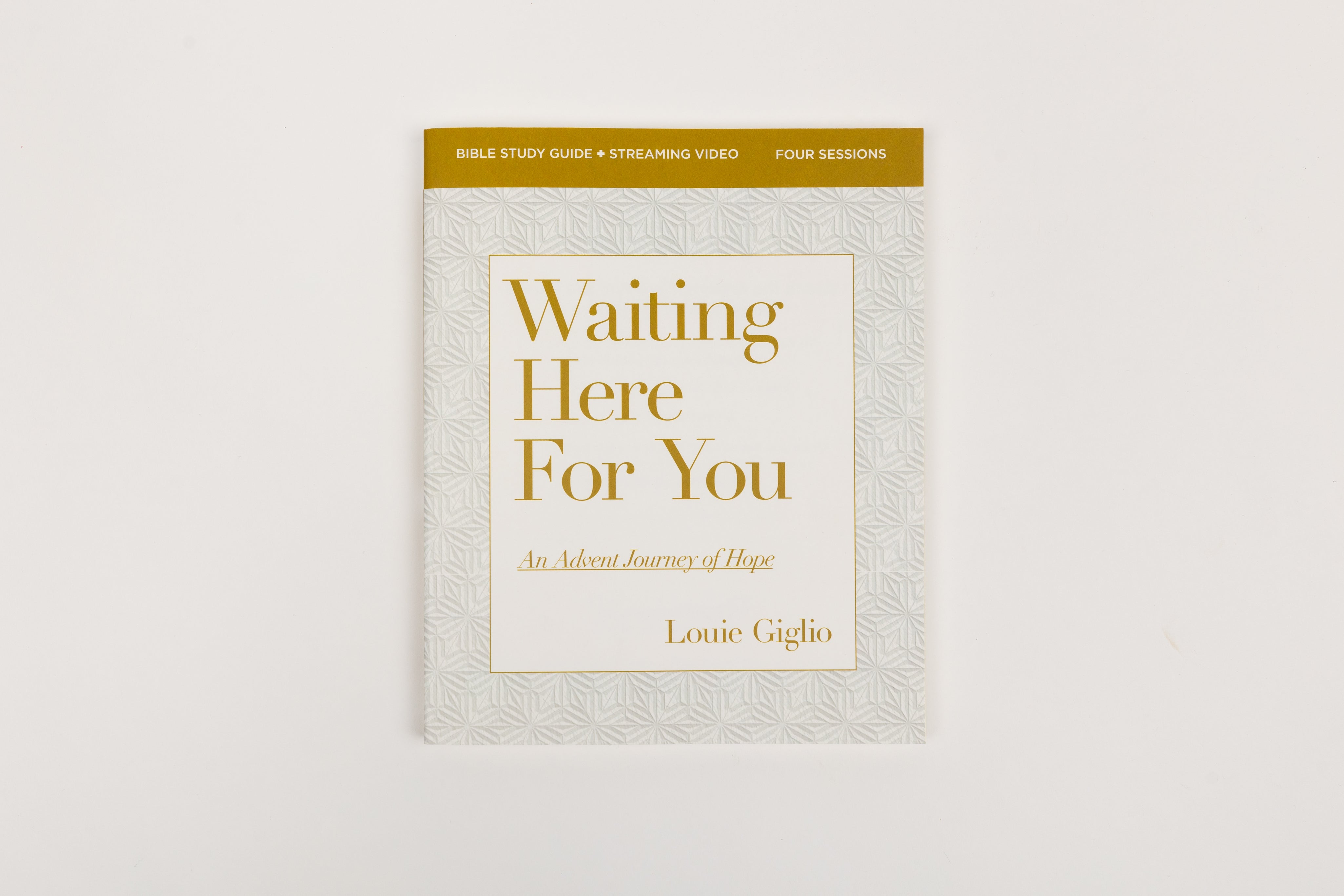 Waiting Here For You Study Guide Front Cover