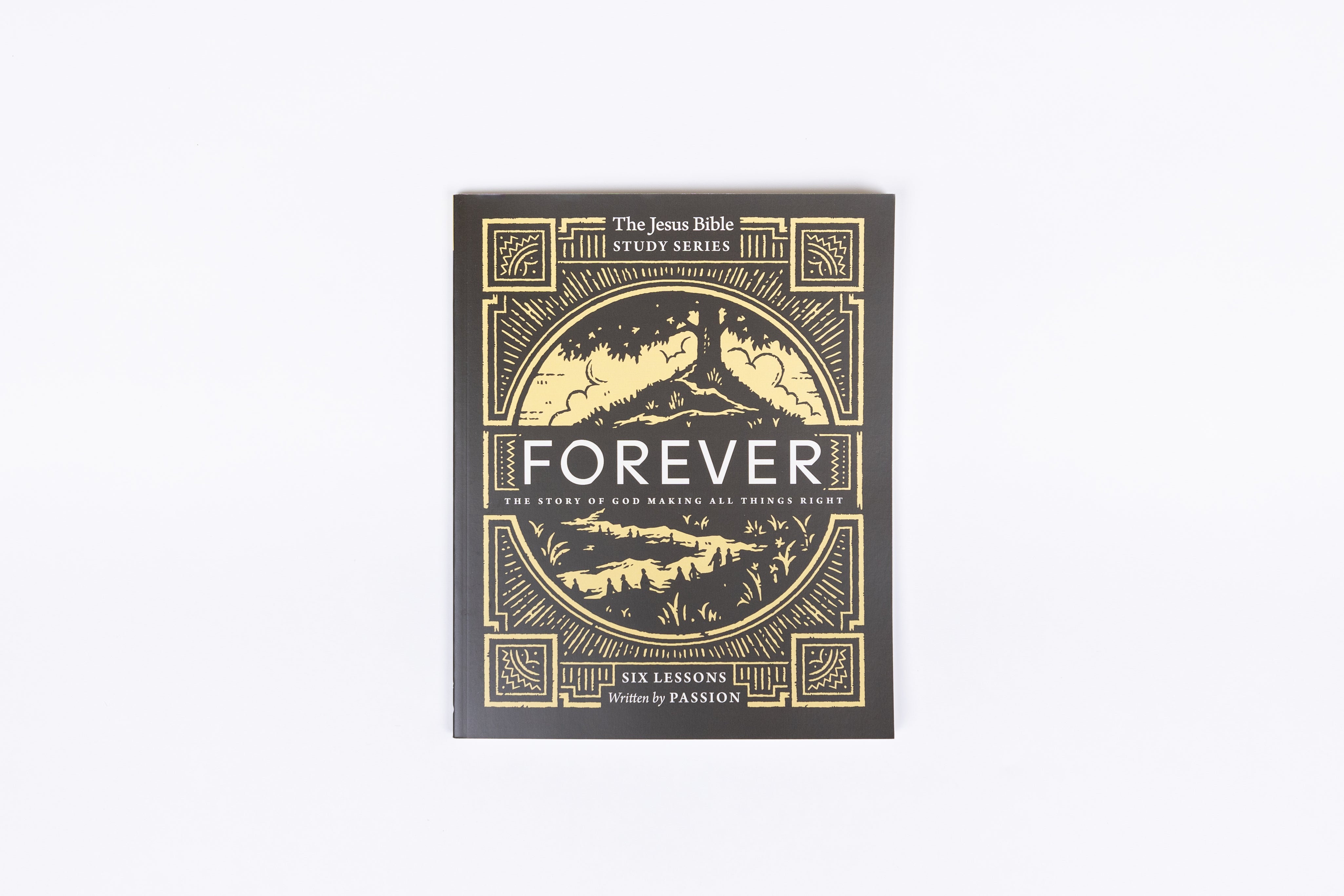 Forever Bible Study Guide: The Story of God Making All Things Right (Jesus Bible Study Series) - passion resources