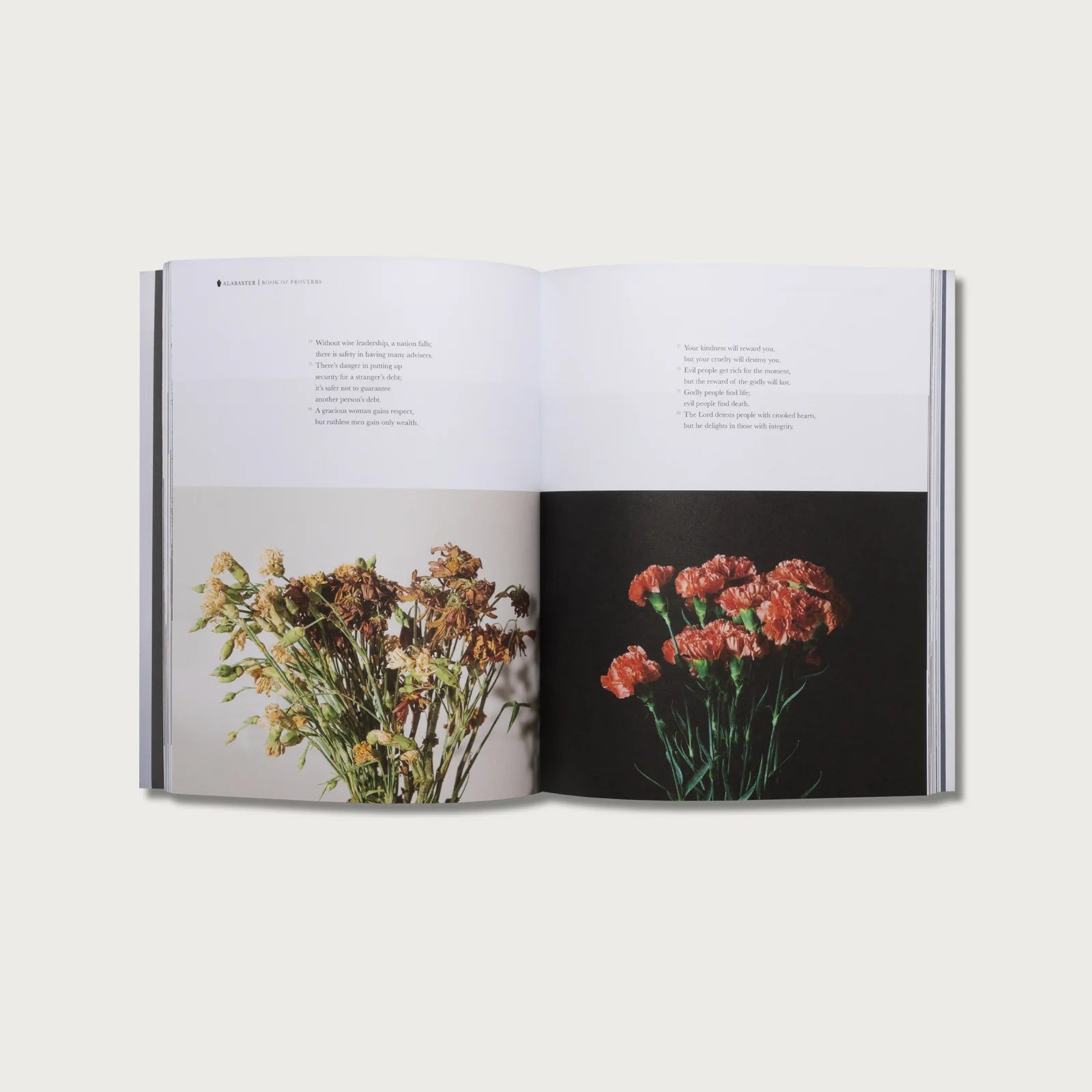Alabaster // The Book of Proverbs