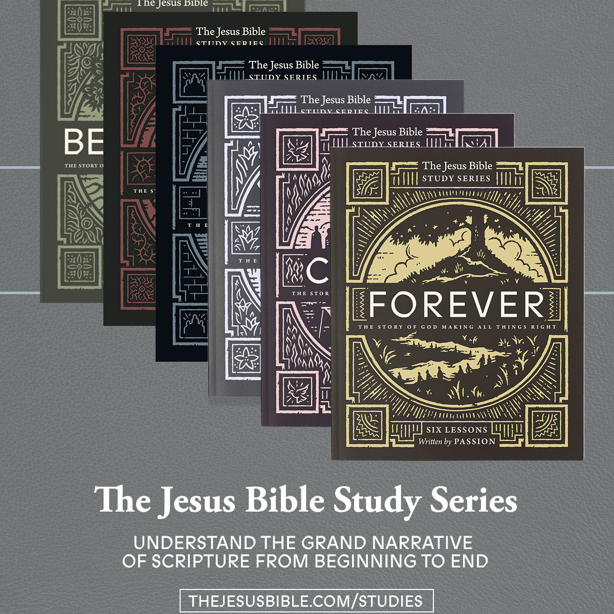 The Jesus Bible Study Series - passion resources