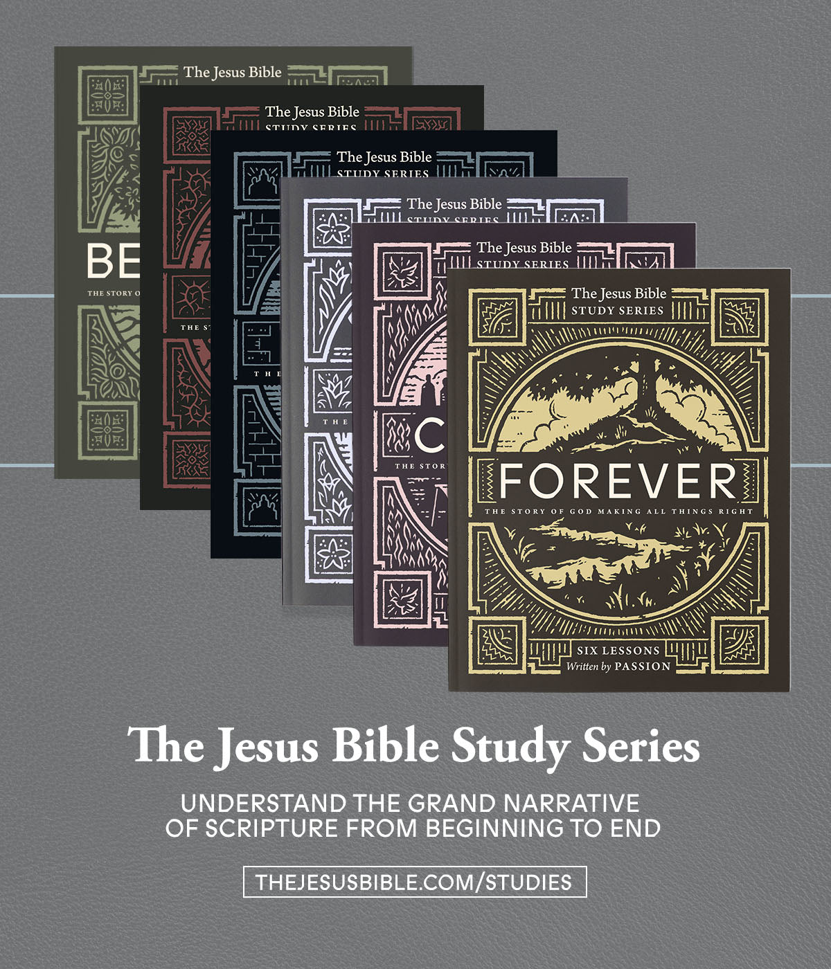 The Jesus Bible Study Series - passion resources