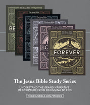 The Jesus Bible Study Series - passion resources