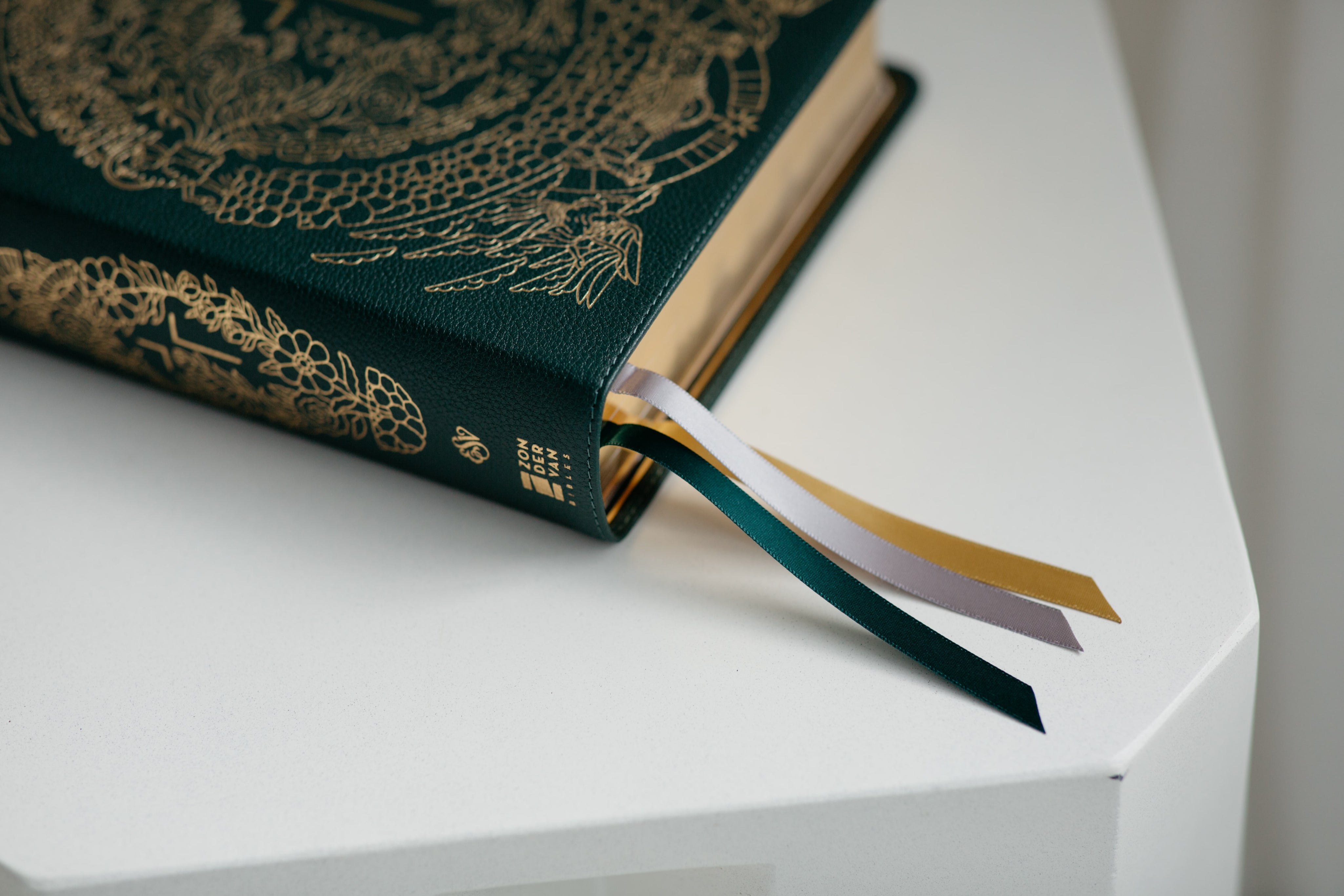 The Jesus Bible - ESV - Green Genuine Leather - Limited Edition (Joshua Noom) - passion resources