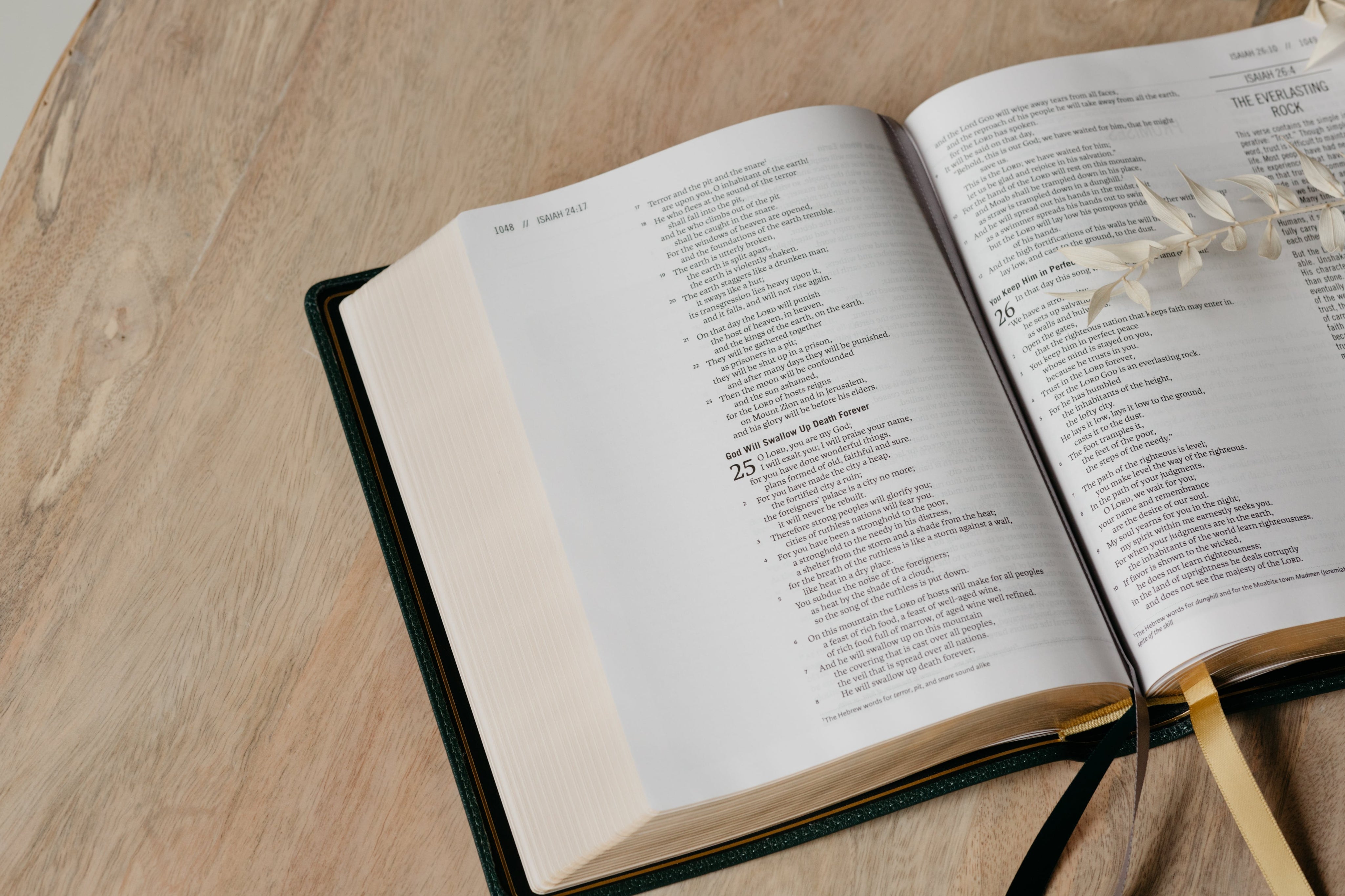 The Jesus Bible - ESV - Green Genuine Leather - Limited Edition (Joshua Noom) - passion resources