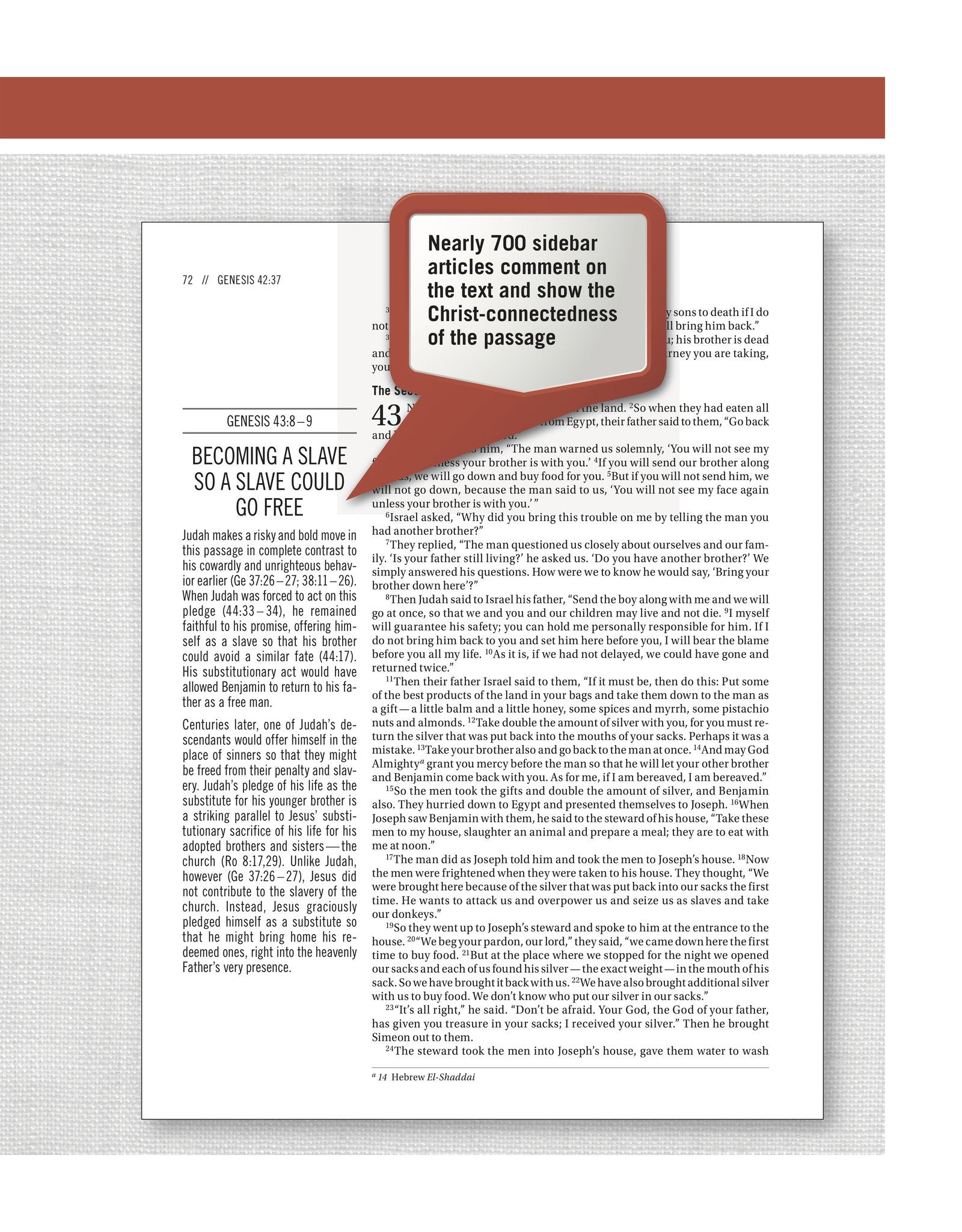 The Jesus Bible - ESV - Charcoal Linen - passion resources