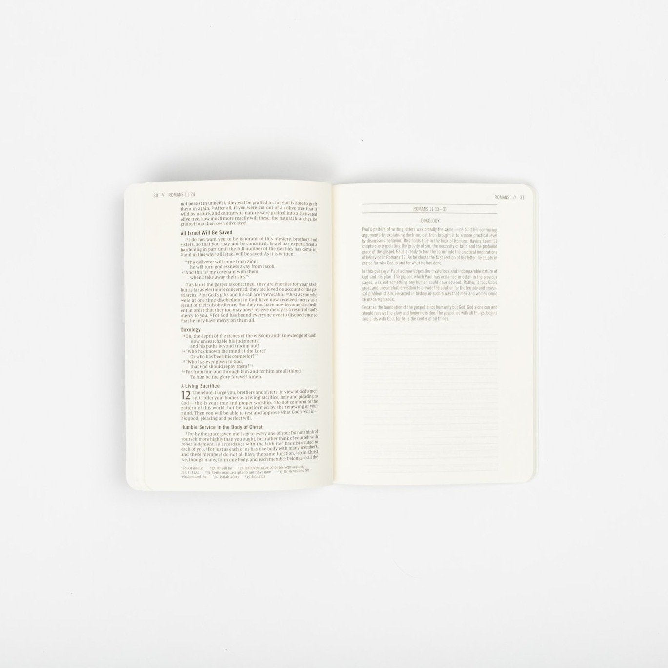 The Jesus Bible Journals - Genesis - passion resources
