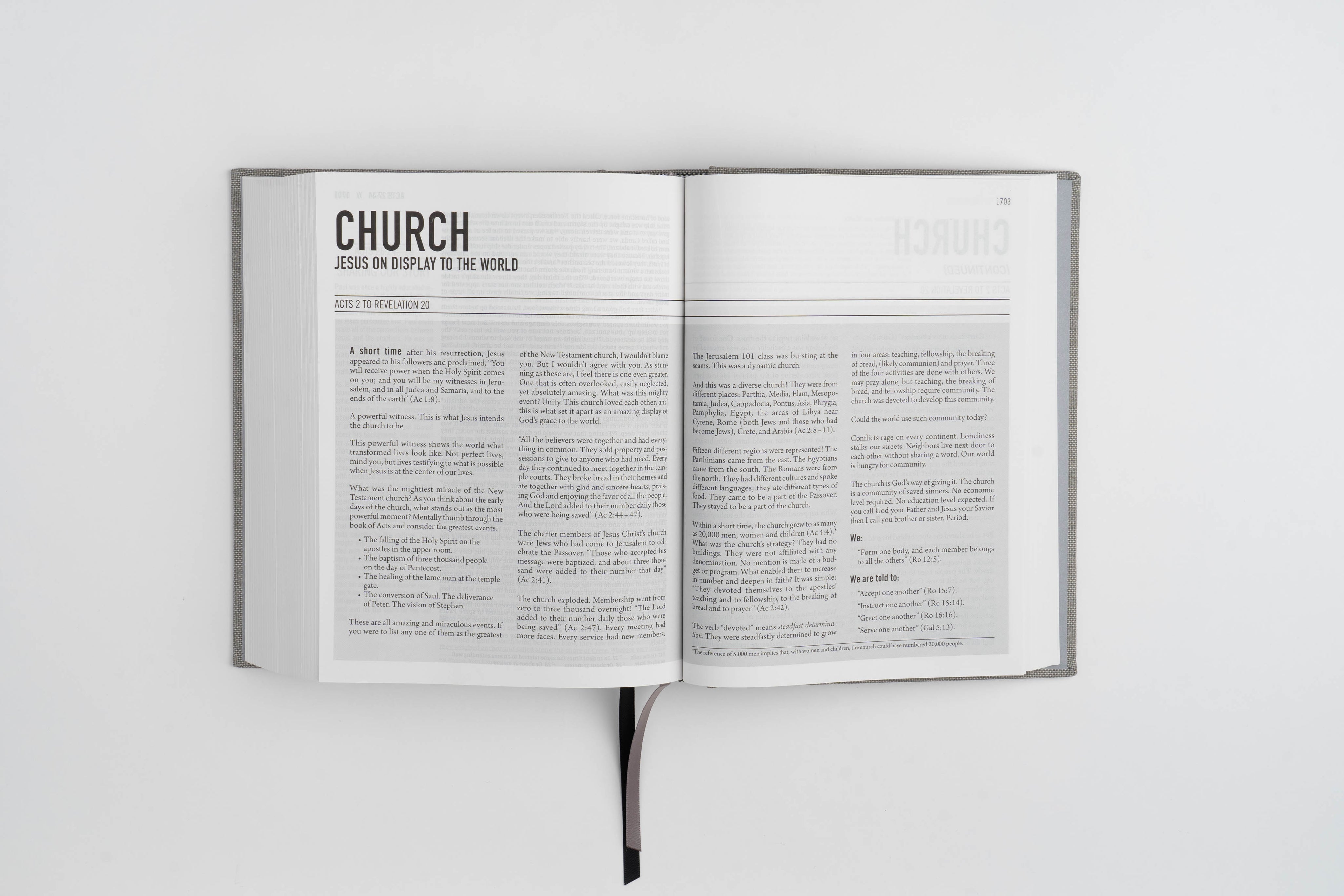 The Jesus Bible - ESV - Charcoal Linen - passion resources