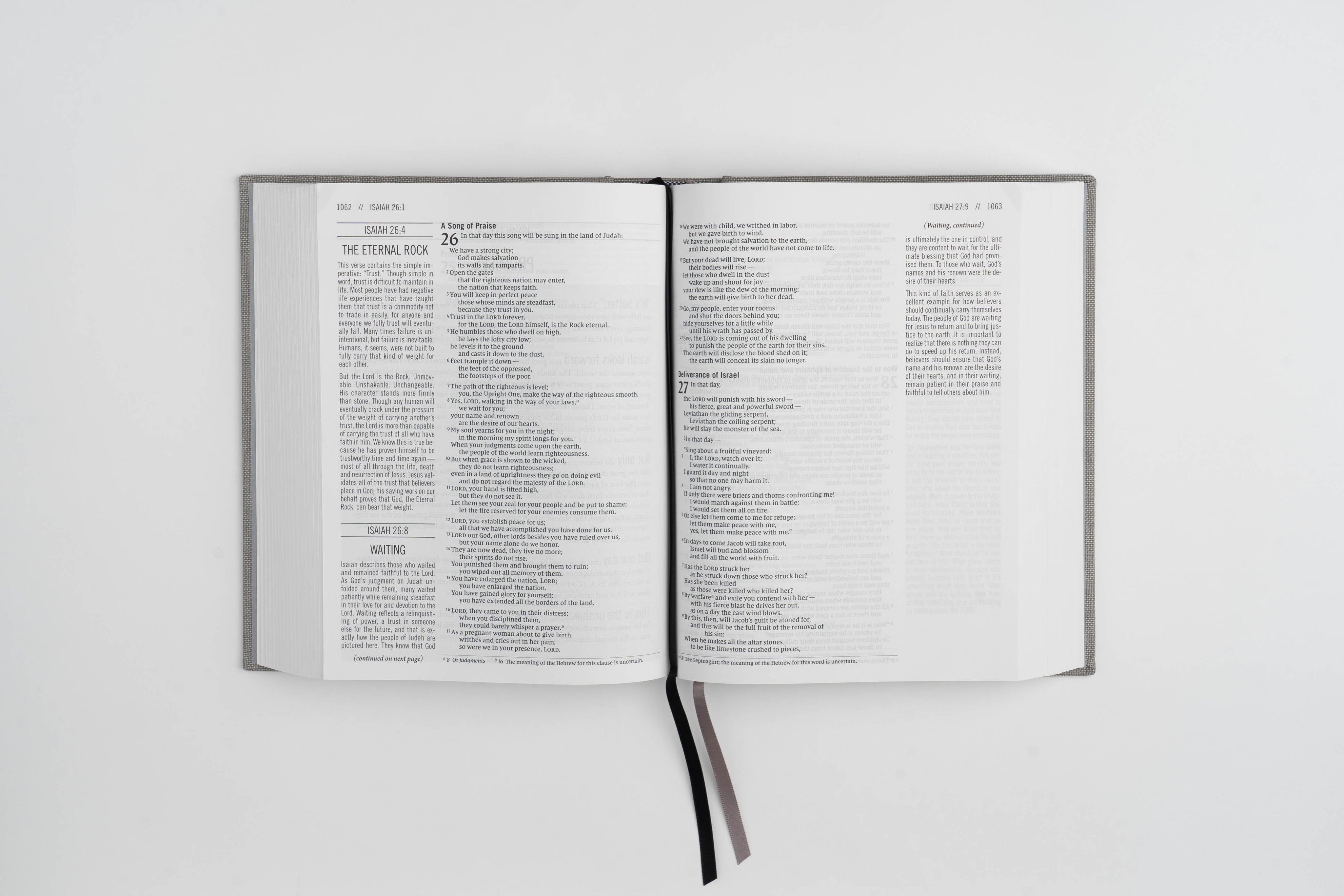 The Jesus Bible - NIV - Gray Linen - passion resources