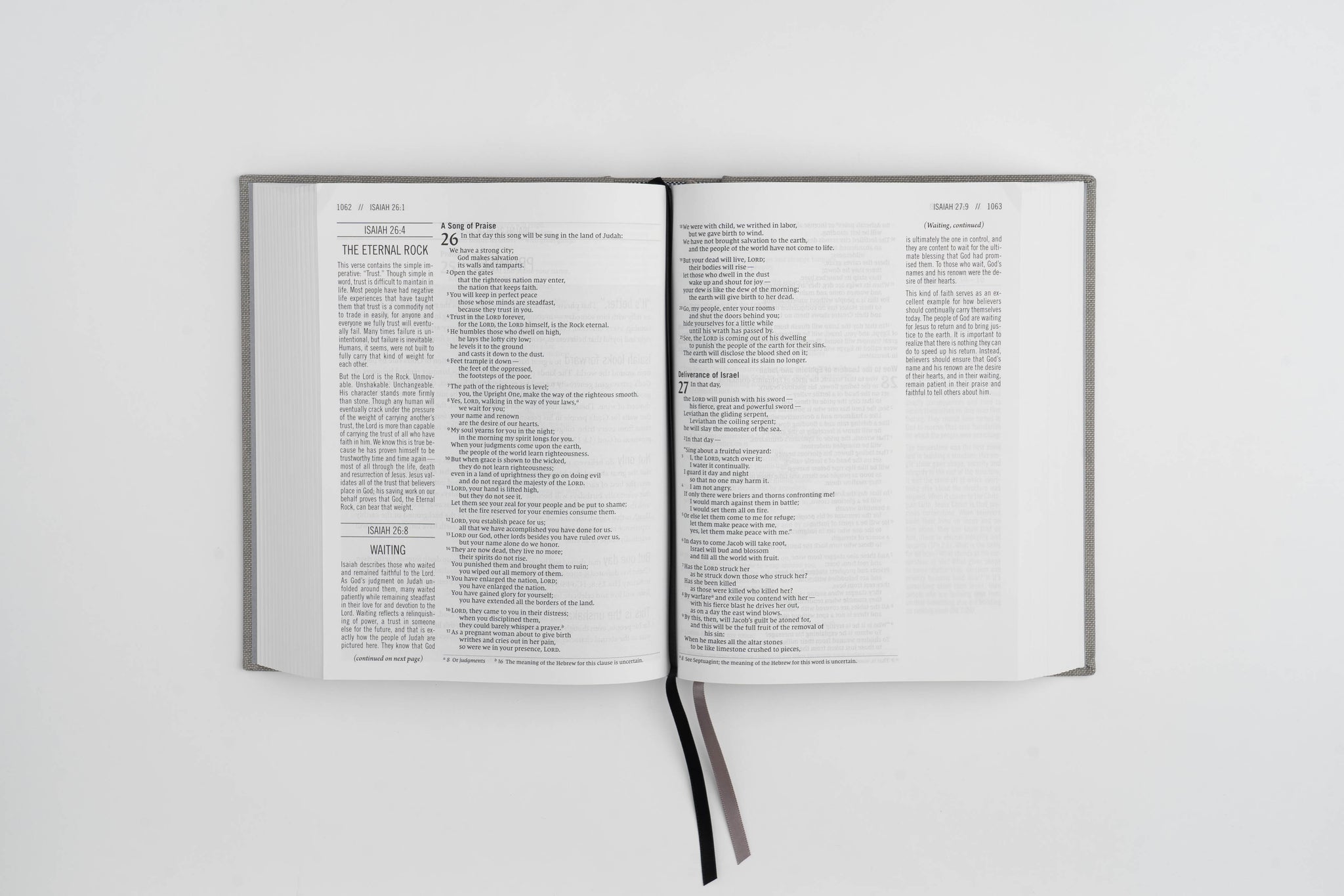 The Jesus Bible - NIV - Gray Linen – Passion Resources