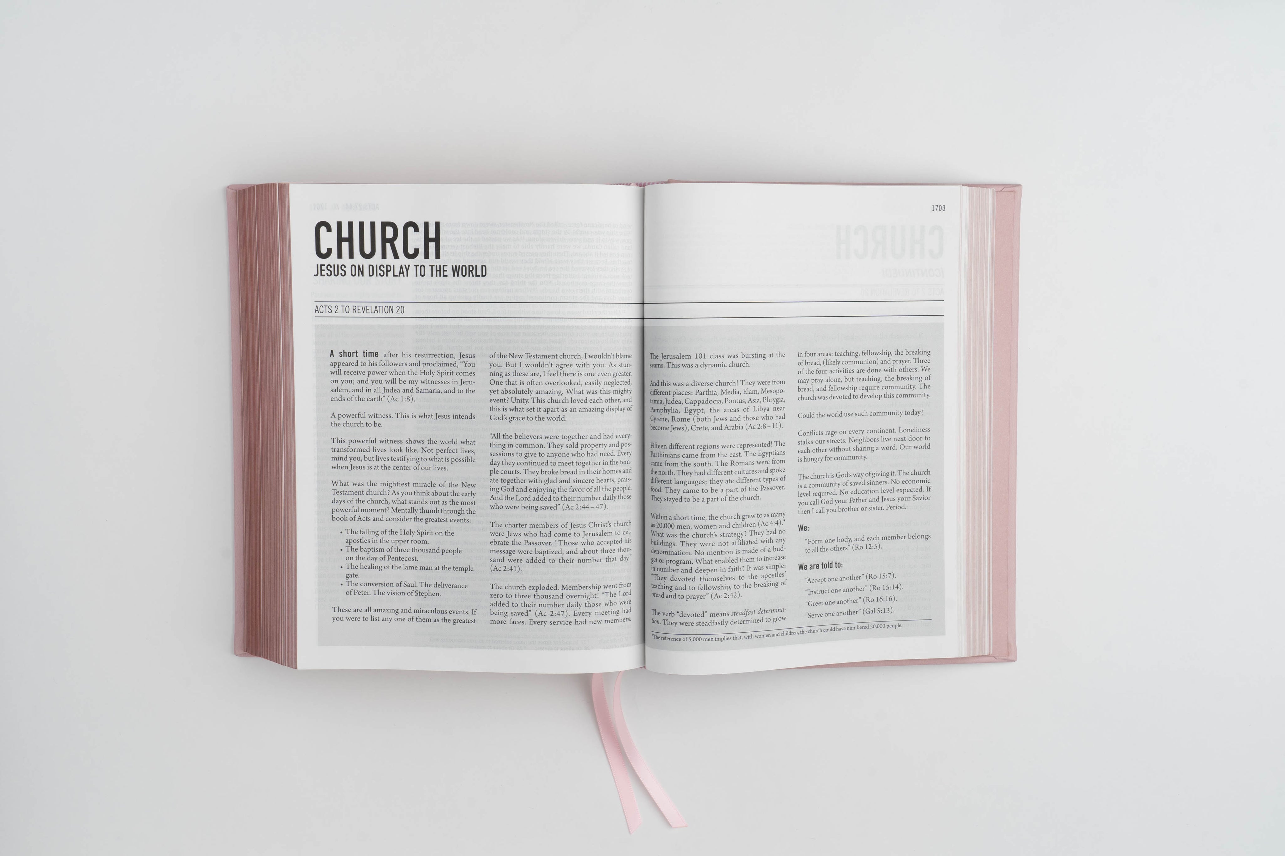 The Jesus Bible - NIV - Pink Leathersoft - passion resources