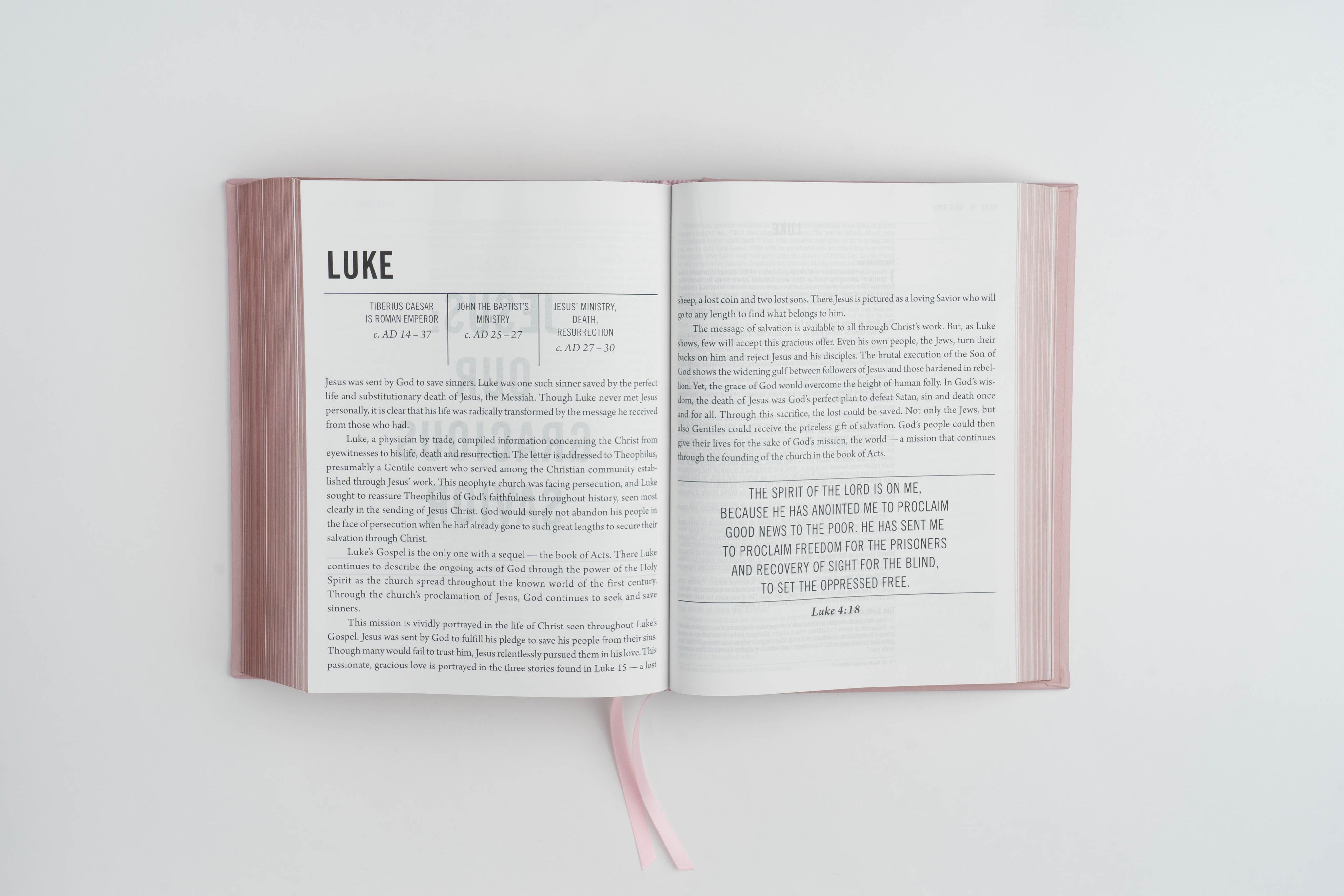The Jesus Bible - NIV - Pink Leathersoft - passion resources