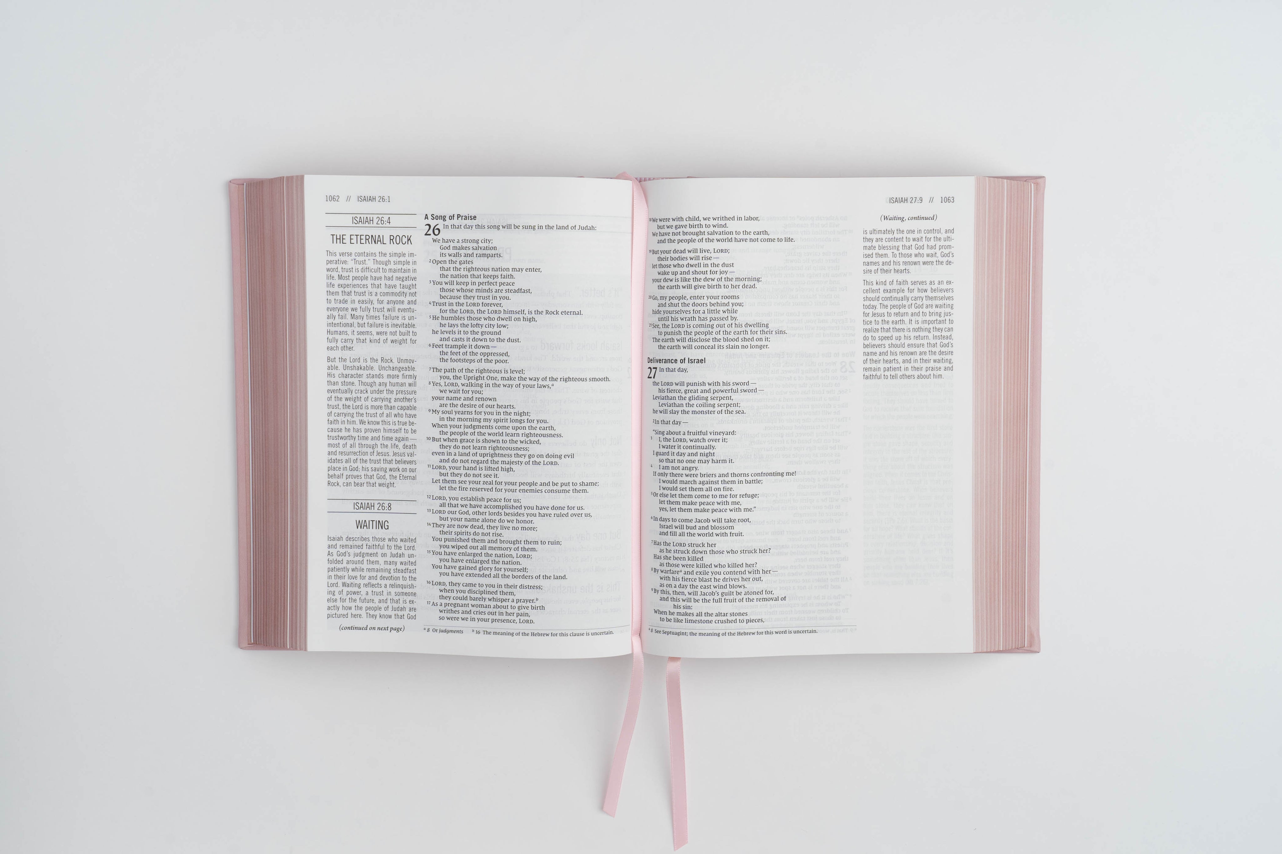 The Jesus Bible - NIV - Pink Leathersoft - passion resources