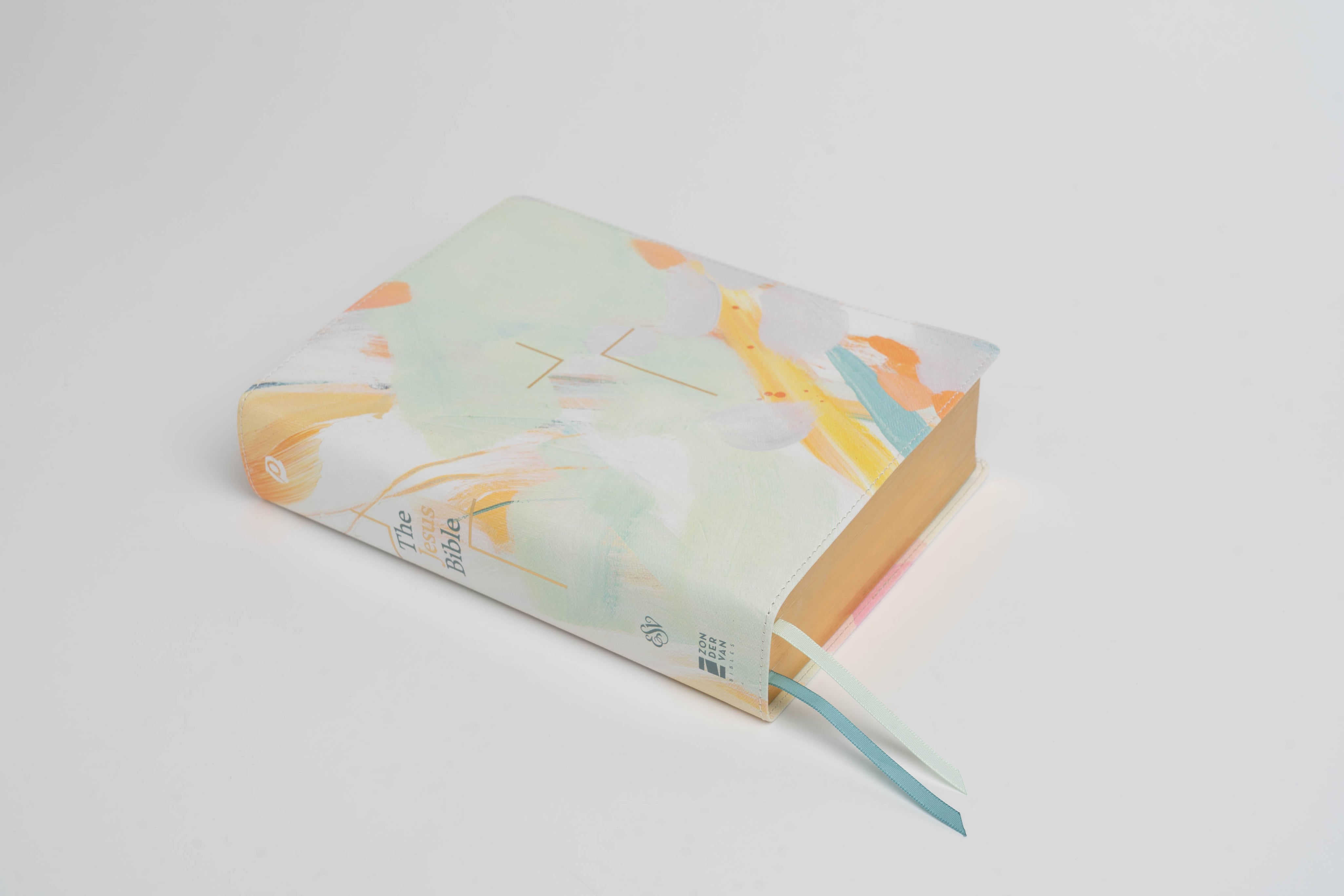 The Jesus Bible - ESV -  Artist Edition Leather (Britt Bass) - passion resources