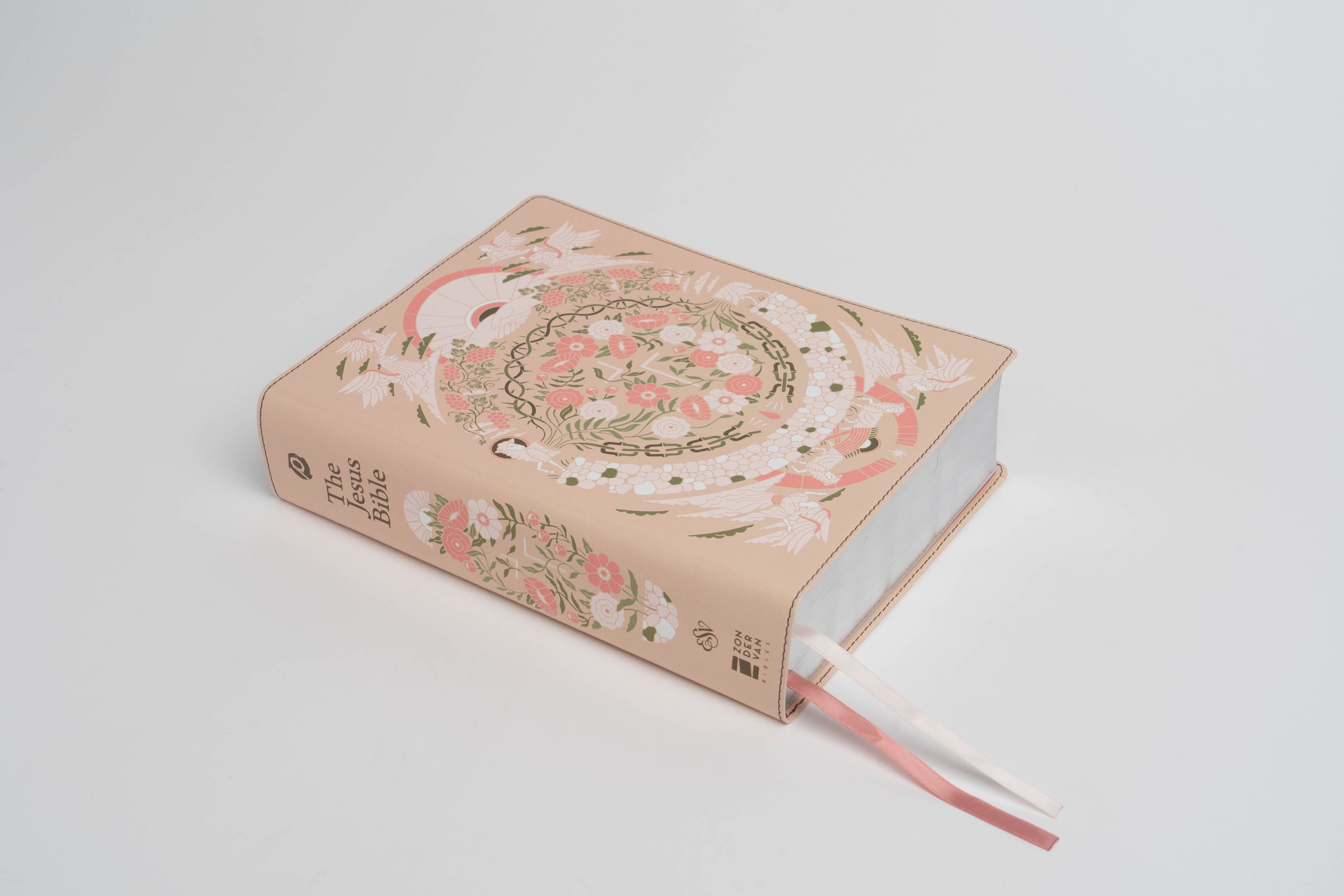 The Jesus Bible - ESV - Artist Edition Leather (Joshua Noom) Peach - passion resources